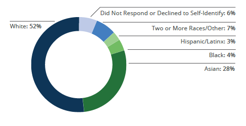 Ethnic Diversity Graph ESG 2020